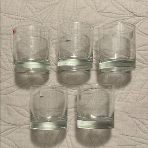 Anchor Etched Glass Tumblers Set of 5